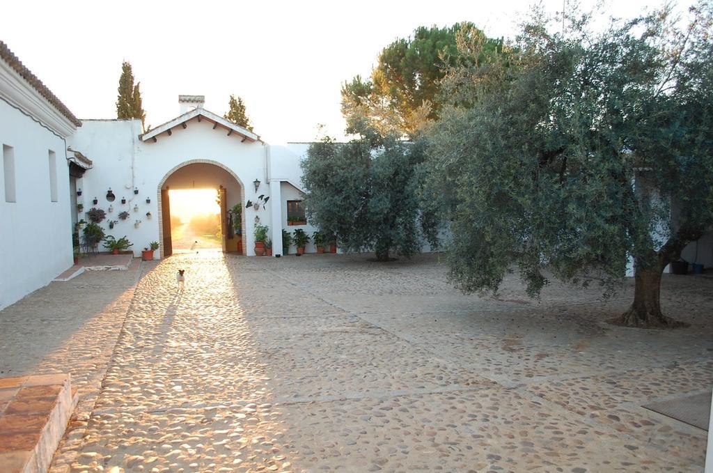 Hacienda Dos Olivos Guest House Aznalcázar Exterior foto